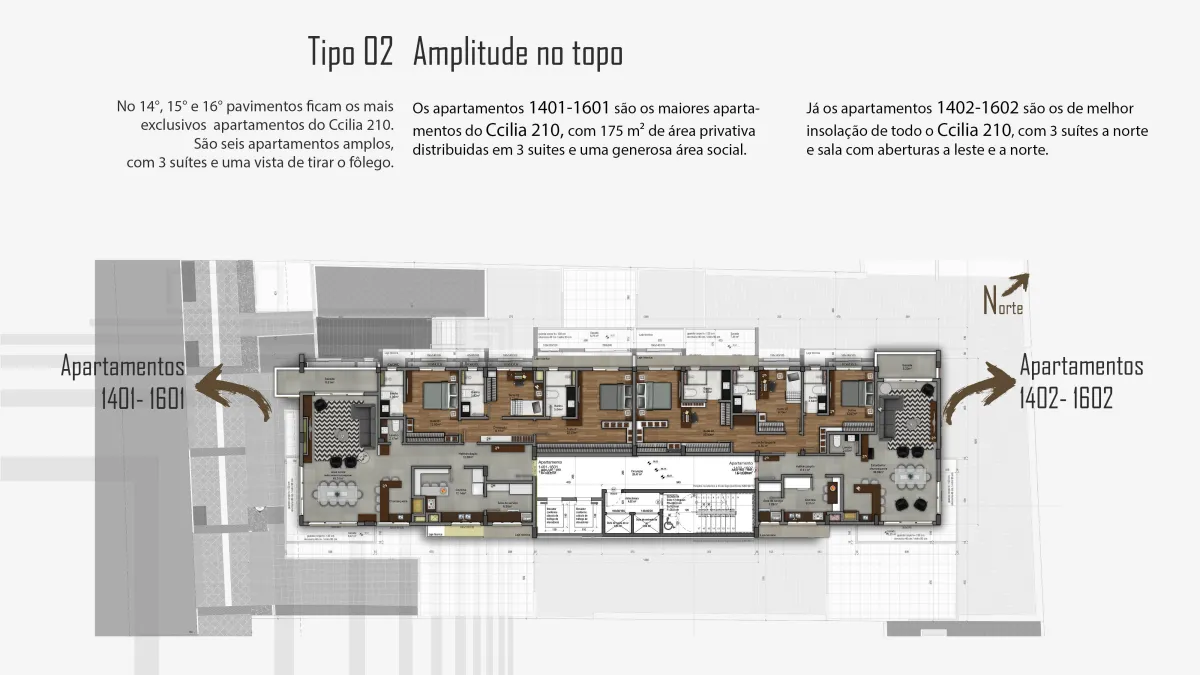 Imagem do projeto Ccilia 210