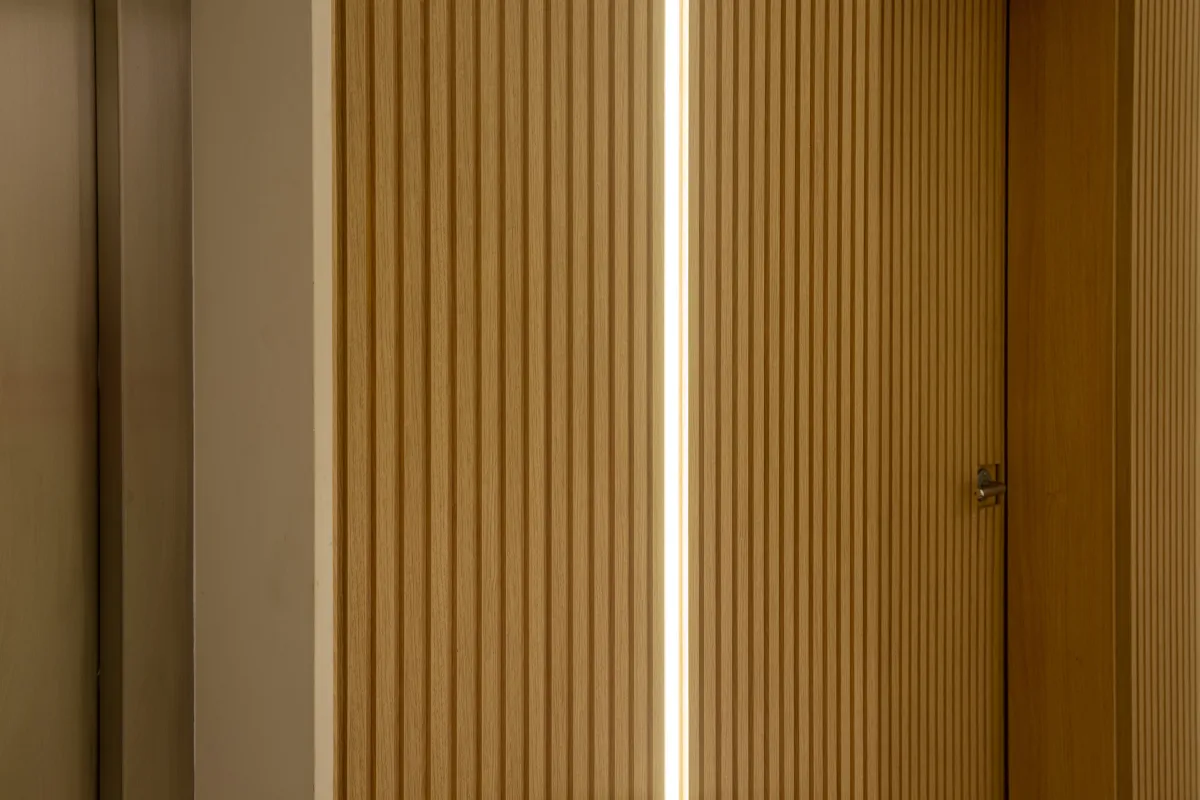 Imagem do projeto Vinícius de Moraes