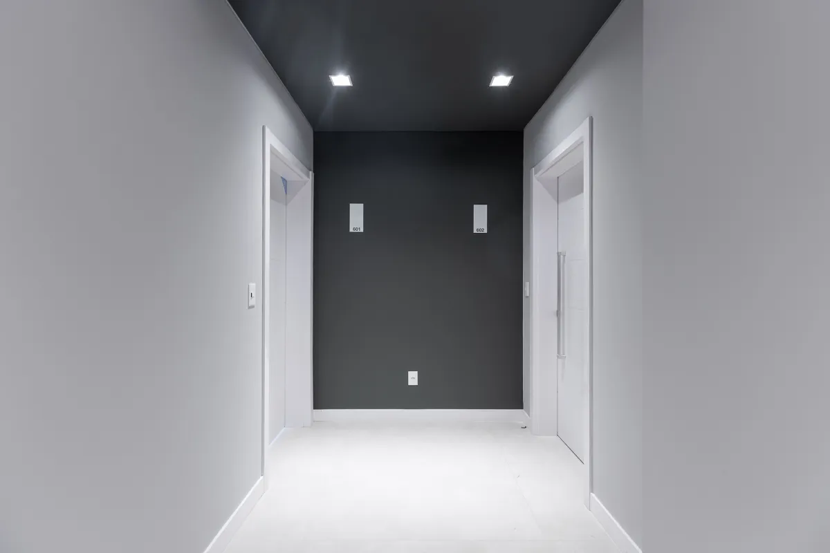 Imagem do projeto Vinícius de Moraes